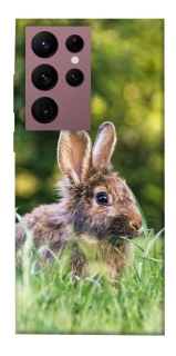 Чехол на Samsung Galaxy S22 Ultra Кролики фото 1 из 1