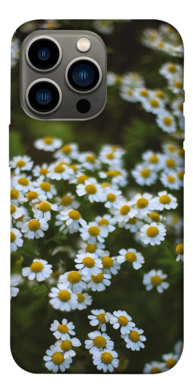 Чехол на Apple iPhone 13 Pro (6.1") Ромашки v13 фото 1 из 1
