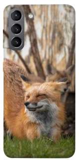 Чехол на Samsung Galaxy S21 Лиса фото 1 из 1