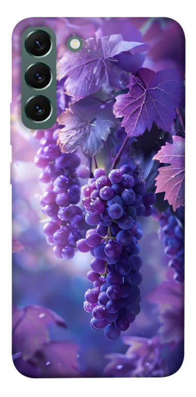Чохол на Samsung Galaxy S22+ Bunch of grapes фото 1 з 1