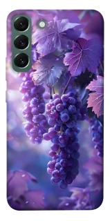 Чохол на Samsung Galaxy S22+ Bunch of grapes фото 1 з 1
