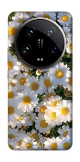 Чехол на Xiaomi 14 Ultra Поле ромашек фото 1 из 1