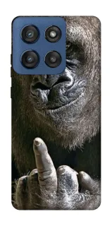 Чохол на Motorola Edge 60 Stylus Surprise фото 1 з 1
