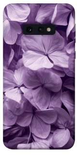 Чехол на Samsung Galaxy S10e Floral Symphony фото 1 из 1