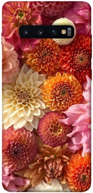 Чохол на Samsung Galaxy S10+ Bouquet фото 1 з 1