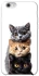 Чохол на Apple iPhone 6/6s (4.7") Гарні котики фото 1 з 1