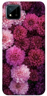 Чохол на Realme C20 Garden1 фото 1 з 1