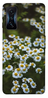 Чехол на Xiaomi Poco F4 GT Ромашки v13 фото 1 из 1