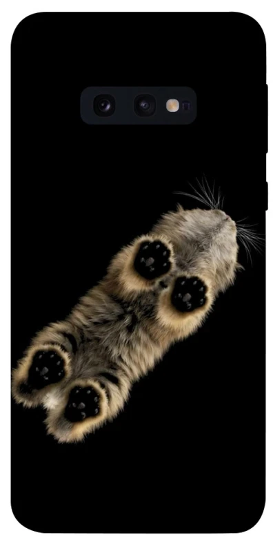 Чехол на Samsung Galaxy S10e Cat фото 1 из 1