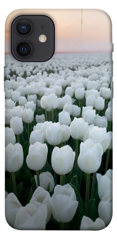 Чехол на Apple iPhone 12 (6.1") Flowers v1 фото 1 из 1