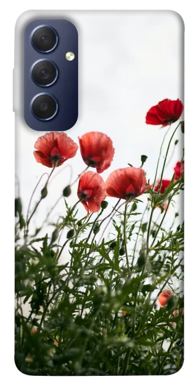Чохол на Samsung Galaxy M54 5G Поле маків фото 1 з 1