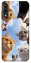 Чехол на Samsung Galaxy A70 (A705F) Cats фото 1 из 1