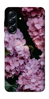 Чохол на Samsung Galaxy A57 5G Рожеві гартензії фото 1 з 1