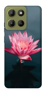 Чохол на Motorola Moto G15 4G Лотос фото 1 з 1