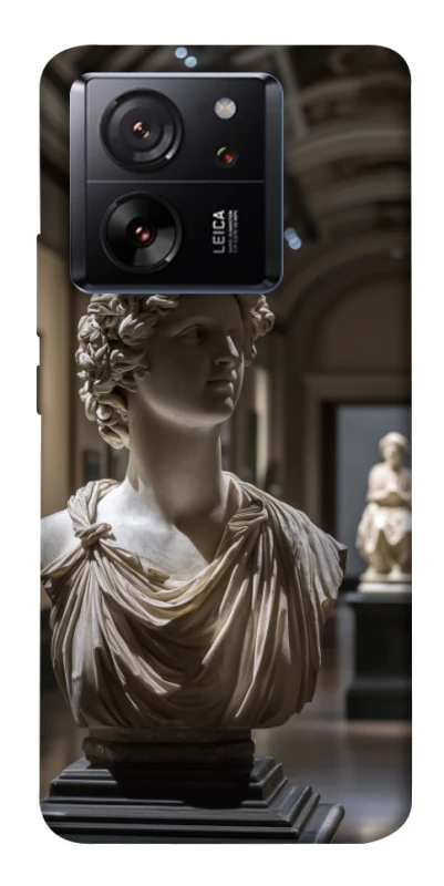 Чехол на Xiaomi 13T statue фото 1 из 1