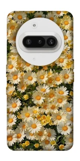 Чохол на Nothing Phone (3a) Camomile фото 1 з 1