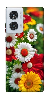 Чохол на Motorola Edge 50 Fusion Flowers v11 фото 1 з 1