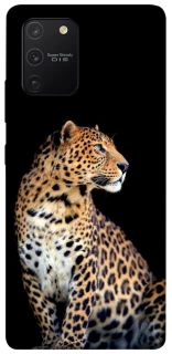 Чохол на Samsung Galaxy S10 Lite Leopard v2 фото 1 з 1