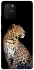 Чохол на Samsung Galaxy S10 Lite Leopard v2 фото 1 з 1