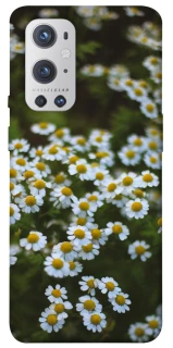 Чехол на OnePlus 9 Pro Ромашки v13 фото 1 из 1