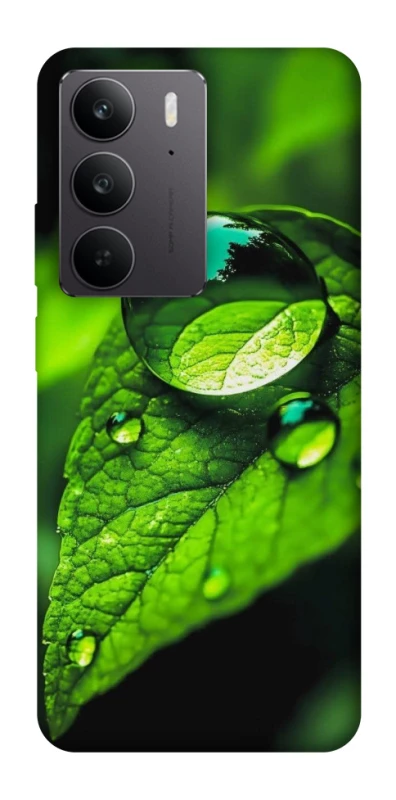 Чохол на Realme C75 Flowers v16 фото 1 з 1