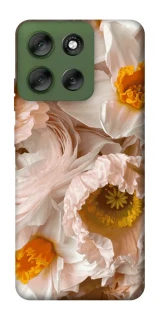 Чохол на Motorola Moto G56 5G Botanical Bliss фото 1 Чохол на Motorola Moto G56 5G Botanical Bliss фото 1 з 1