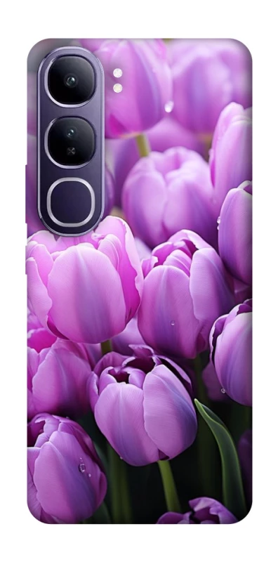 Чохол на Vivo Y300 Фіолетові тюльпани фото 1 з 1