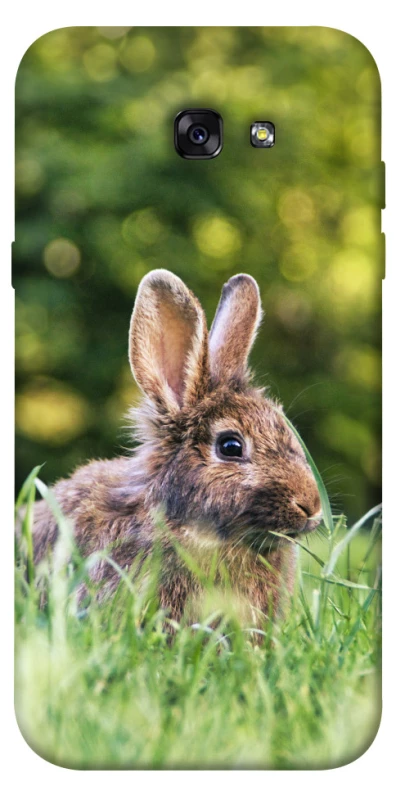 Чехол на Samsung A720 Galaxy A7 (2017) Кролики фото 1 из 1