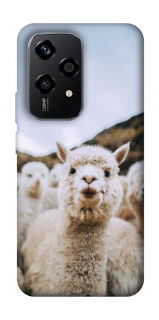 Чехол на Honor 200 Lite Лама фото 1 из 1