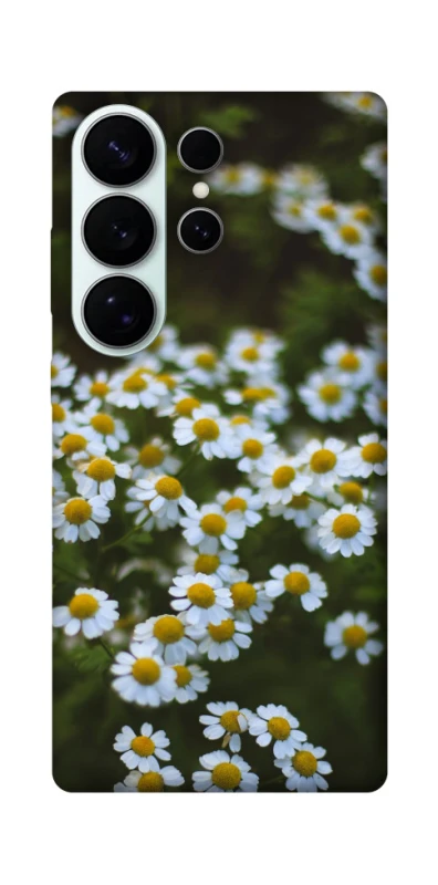 Чехол на Samsung Galaxy S26 Ромашки v13 фото 1 из 1