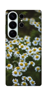 Чехол на Samsung Galaxy S26 Ромашки v13 фото 1 из 1