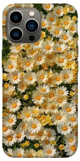 Чехол на Apple iPhone 13 Pro Max (6.7") Camomile фото 1 из 1