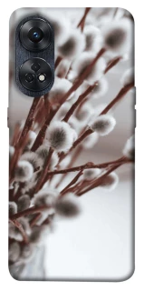 Чехол на Oppo Reno 8T 4G Magic фото 1 из 1