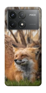 Чохол на Xiaomi Poco F6 Pro Лисиця фото 1 з 1