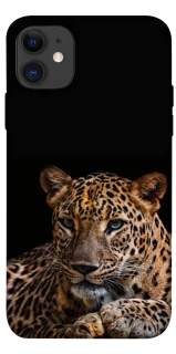 Чохол на Apple iPhone 11 (6.1") Leopard v4 фото 1 з 1