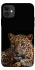 Чохол на Apple iPhone 11 (6.1") Leopard v4 фото 1 з 1