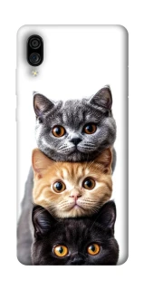 Чохол на ZTE Blade A5 (2020) Гарні котики фото 1 з 1