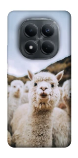 Чехол на Xiaomi Redmi Note 15 Pro 4G Лама фото 1 из 1