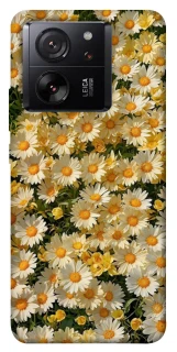 Чохол на Xiaomi 13T Pro Camomile фото 1 з 1
