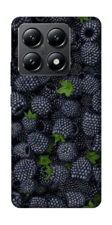 Чохол на Xiaomi 14T Fresh фото 1 з 1