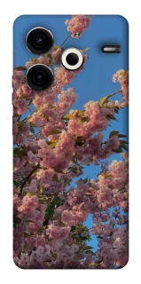 Чехол на TECNO Pova 6 Neo (LI6) Flowers v4 фото 1 из 1