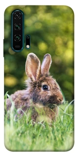 Чохол на Huawei Honor 20 Pro Кролики фото 1 з 1