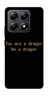 Чехол на Xiaomi 14T House of the Dragon ver.9 фото 1 из 1