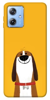 Чехол на Motorola Moto G84 Пёс-нос фото 1 из 1