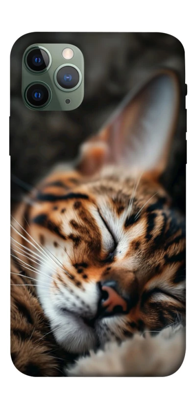 Чехол на Apple iPhone 11 Pro (5.8") Cat paws фото 1 из 1