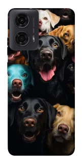 Чохол на Motorola Moto G04 Собаки фото 1 з 1
