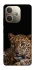 Чехол на Oppo A5 Pro 4G Leopard v4 фото 1 из 1