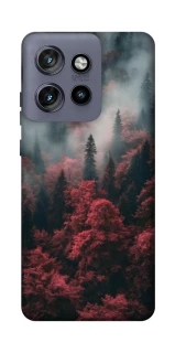 Чехол на Motorola Edge 50 Neo Red Wood фото 1 из 1