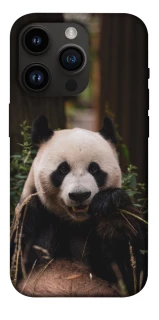 Чехол на Apple iPhone 14 Pro (6.1") Панда фото 1 из 1