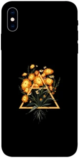 Чохол на Apple iPhone X (5.8") Flowers ver.1 фото 1 з 1